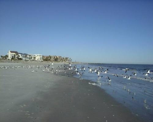 Atlantic Ocean at Fripp Island, SC 29920