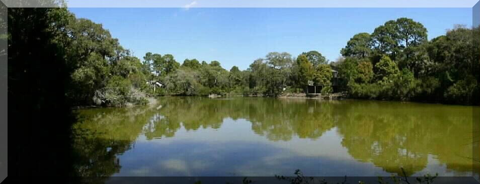 Fiddlers Trace Lake - Fripp Island, SC