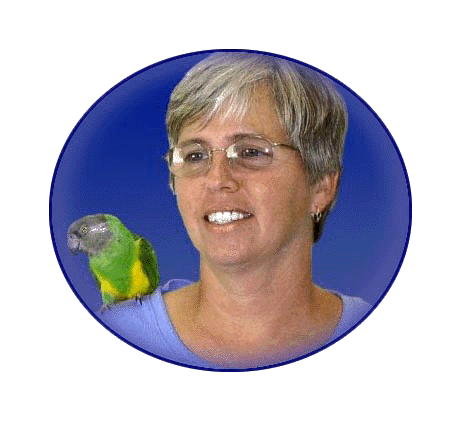 Click on my photo to find out more about Karen Natoli